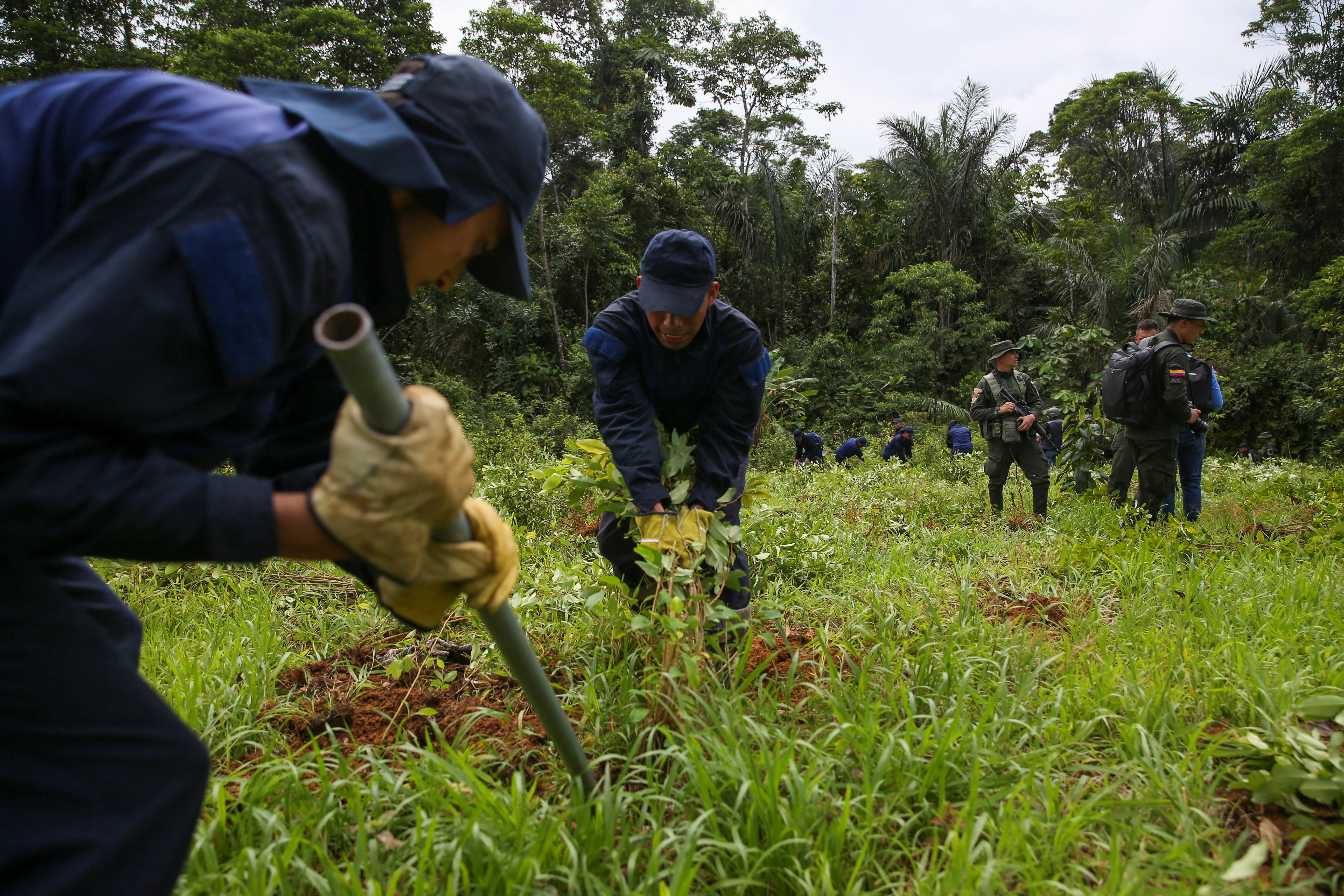 Colombia recalls U.S. ambassador after Trump threats on tariffs, aid 9 Men in uniforms are shown working the ground in a grassy area.